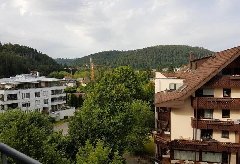 Номер Superior, Nashira Kurpark Hotel 100 Prozent Barrierefrei