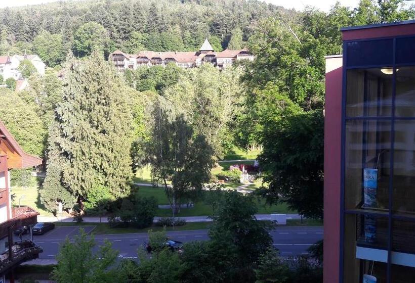 Номер Superior, Nashira Kurpark Hotel 100 Prozent Barrierefrei