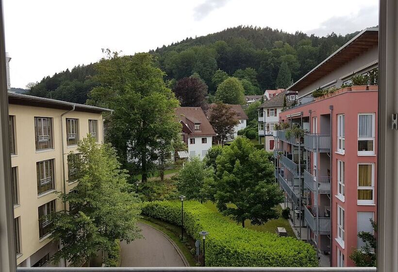 Номер Superior Одноместный, Nashira Kurpark Hotel 100 Prozent Barrierefrei