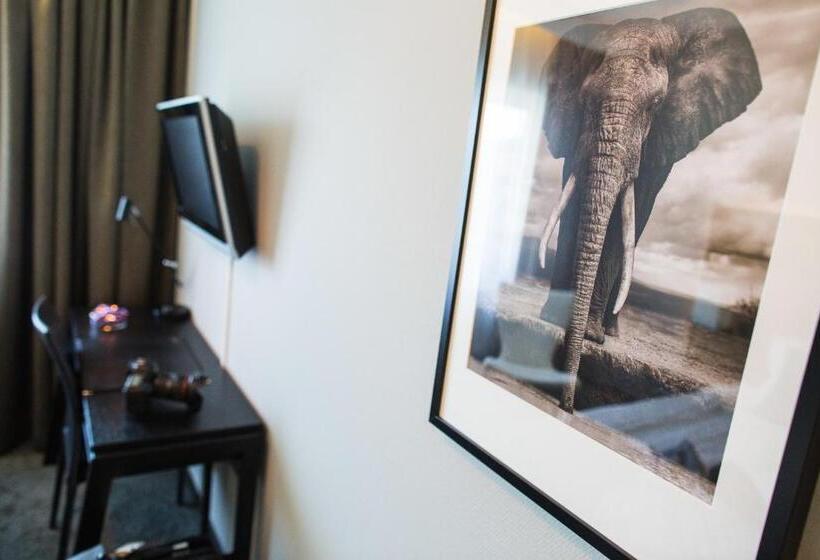 חדר דלוקס, Nova Park Conference