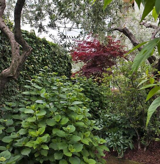 주니어 스위트, Palace Hotel San Pietro