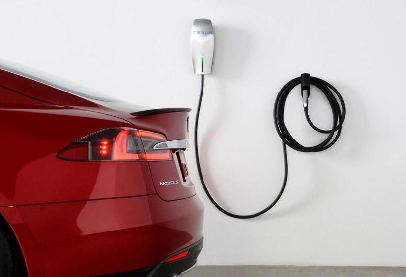 سوییت جونیور, Paradise Lodge