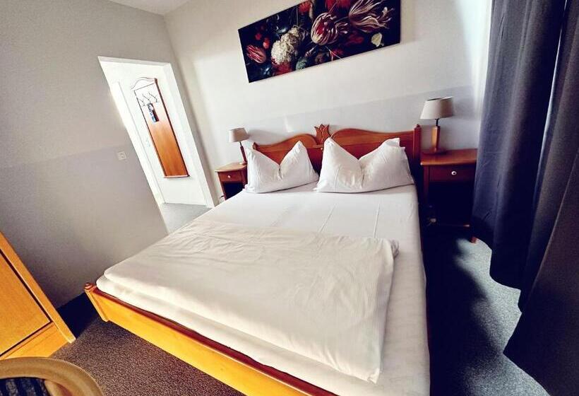 Standard Værelse, Rheinfall