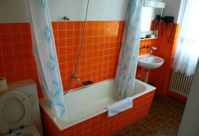 Standard Enkeltværelse, Rheinfall