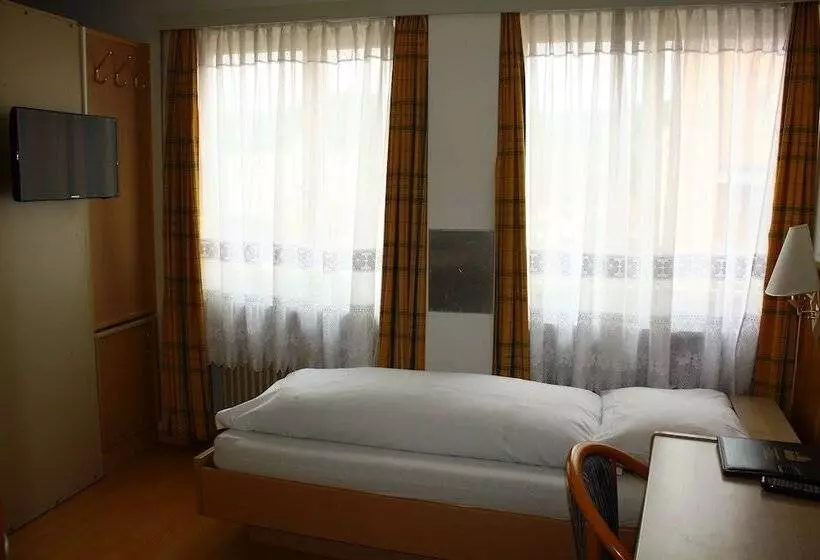 スタンダードシングルルーム, Rheinfall