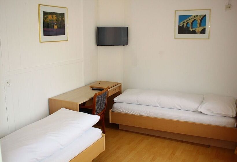 Standard Enkeltværelse, Rheinfall