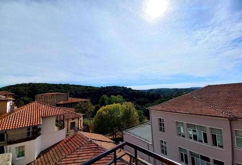 标准间带阳台, Tarnava