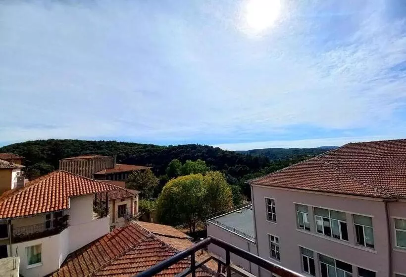 اتاق استاندارد با بالکن, Tarnava
