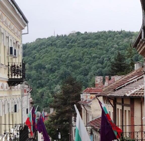 标准间带阳台, Tarnava