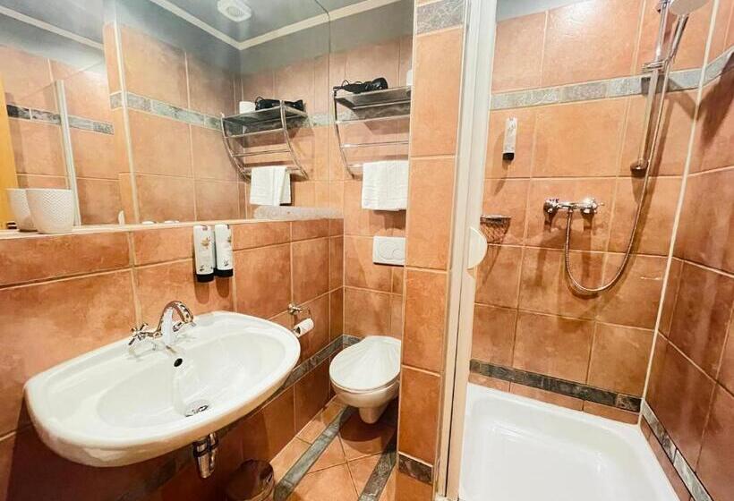 غرفة قياسية فردية, Werners Boutique