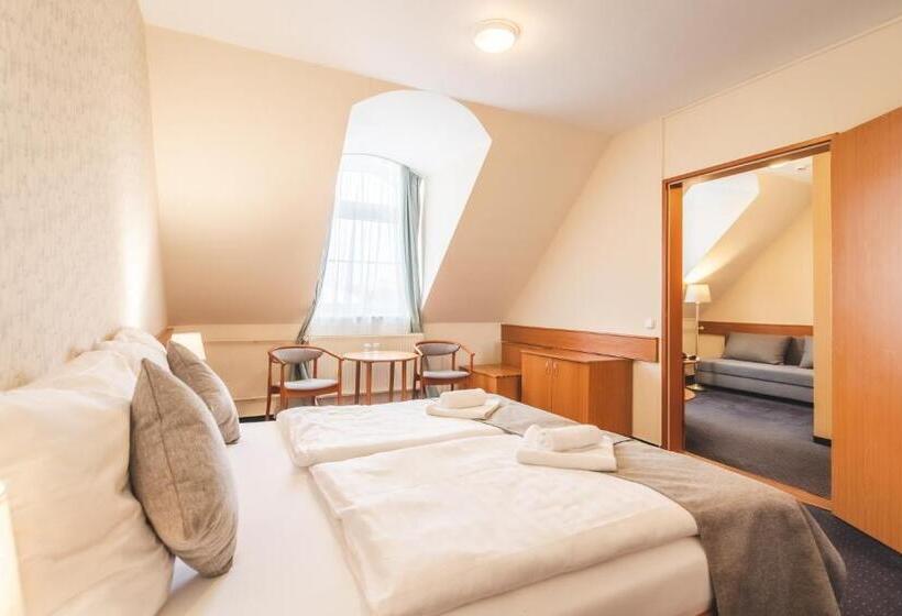 スタンダードルーム, Thermal Hotel Mosonmagyarovar