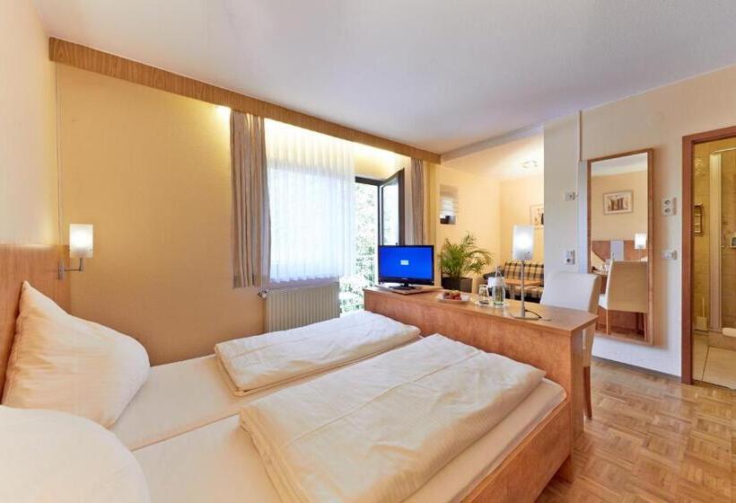 컴포트 룸, Waldhotel Felschbachhof