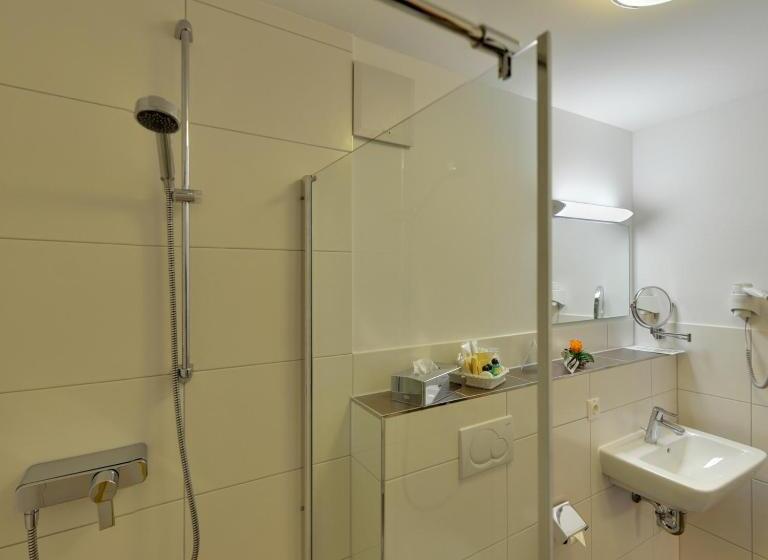 수피리어 룸, Waldhotel Felschbachhof