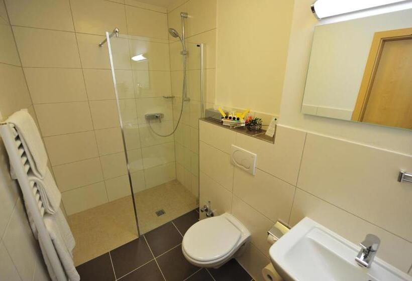 수피리어 룸, Waldhotel Felschbachhof