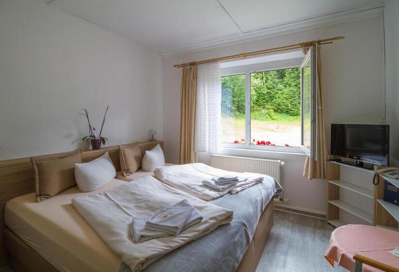 スタンダードルーム, Waldhotel Rennsteighöhe