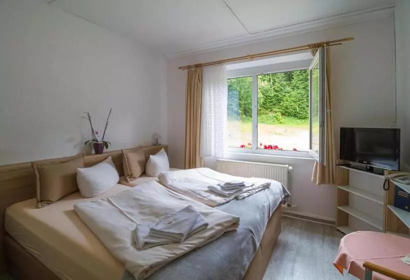 Standard-huone, Waldhotel Rennsteighöhe
