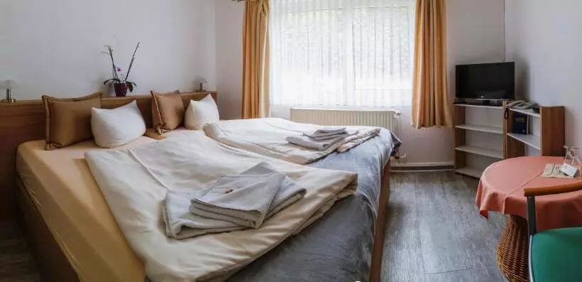 Standard-huone, Waldhotel Rennsteighöhe