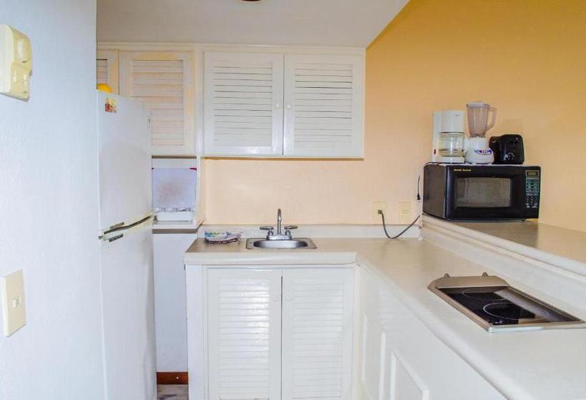 شقة غرفة واحدة, Enna Inn Ixtapa Departamento 01 Recamara Vista Mar