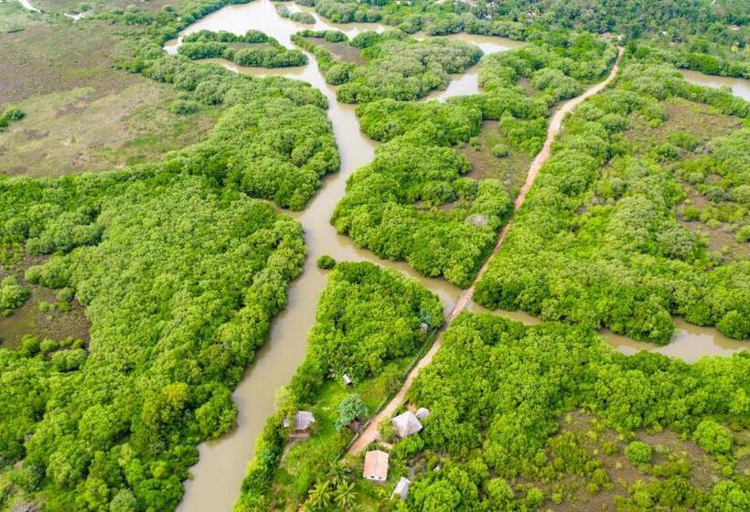 豪华房间, Mermaid Cabana And Tree Houses