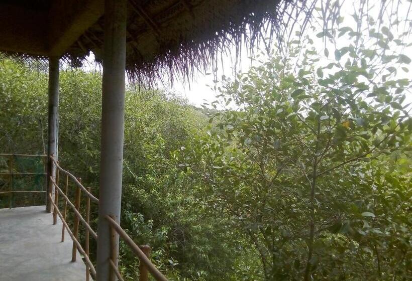 带阳台的豪华间, Mermaid Cabana And Tree Houses