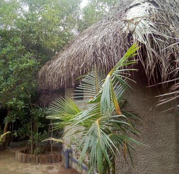 标准间, Mermaid Cabana And Tree Houses