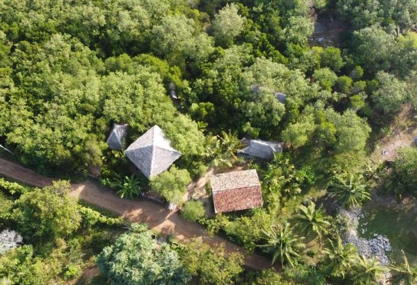 经济房, Mermaid Cabana And Tree Houses