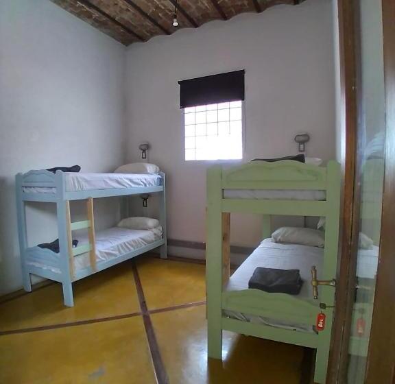 تختخواب در اتاق مشترک, Parla Hostel