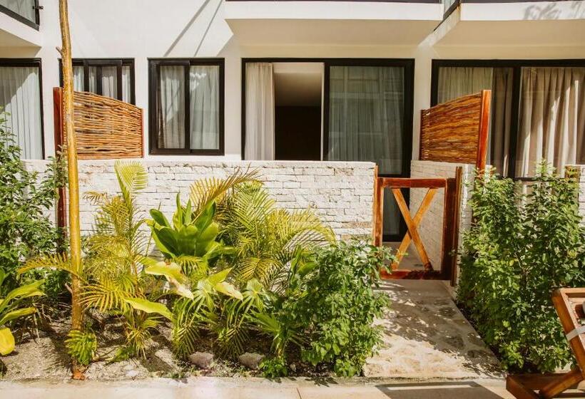 استودیوی سوپریور, The Waves Tulum By Bnb Experience