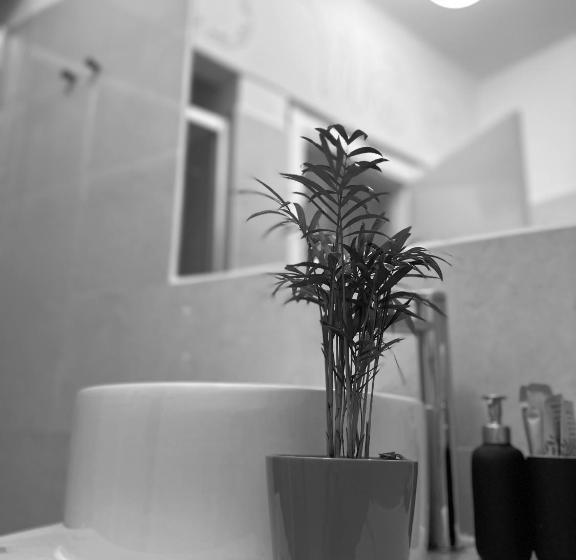 غرفة قياسية, Boutique Hotel Novecento