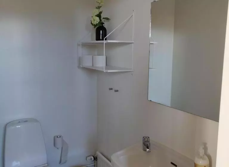 １ベッドルームペントハウスアパート, Centralhotellet