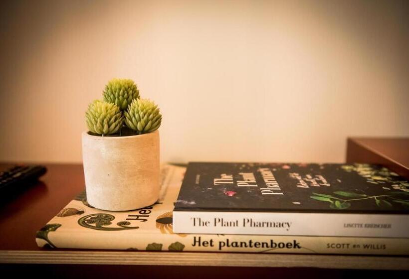 주니어 스위트, Fitz Roy Urban Hotel, Bar And Garden