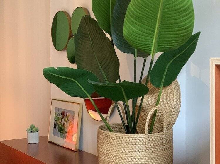 주니어 스위트, Fitz Roy Urban Hotel, Bar And Garden