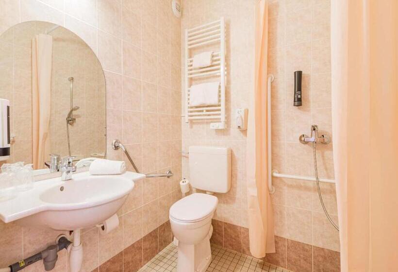اتاق استاندارد برای معلولان, B&b Hotel Strasbourg Aéroport