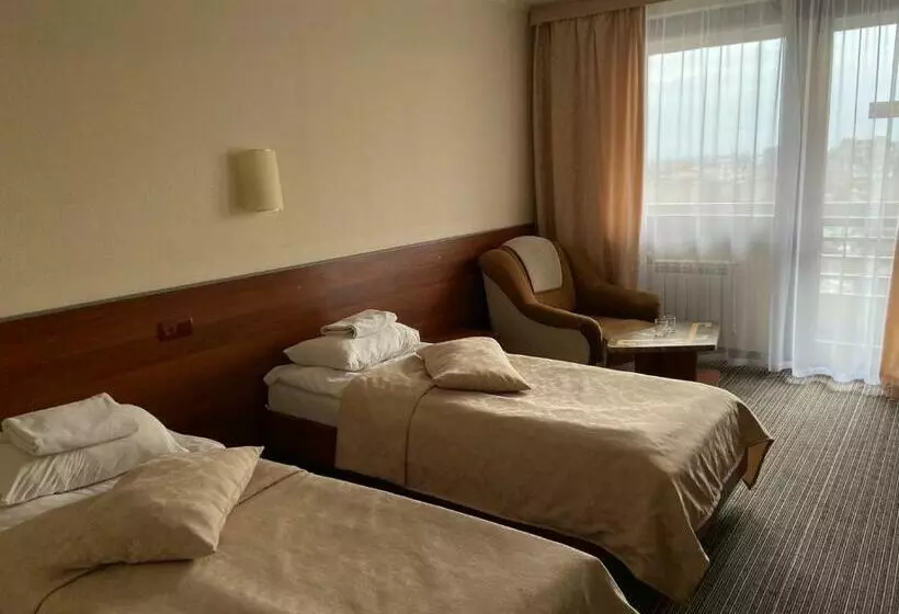 ビジネスルーム, Intourist Zakarpattia