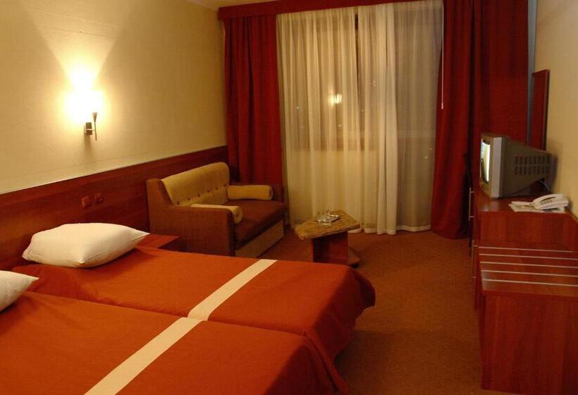 اتاق سوپریور, Intourist Zakarpattia