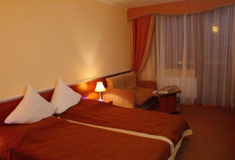 اتاق سوپریور سه تخته, Intourist Zakarpattia