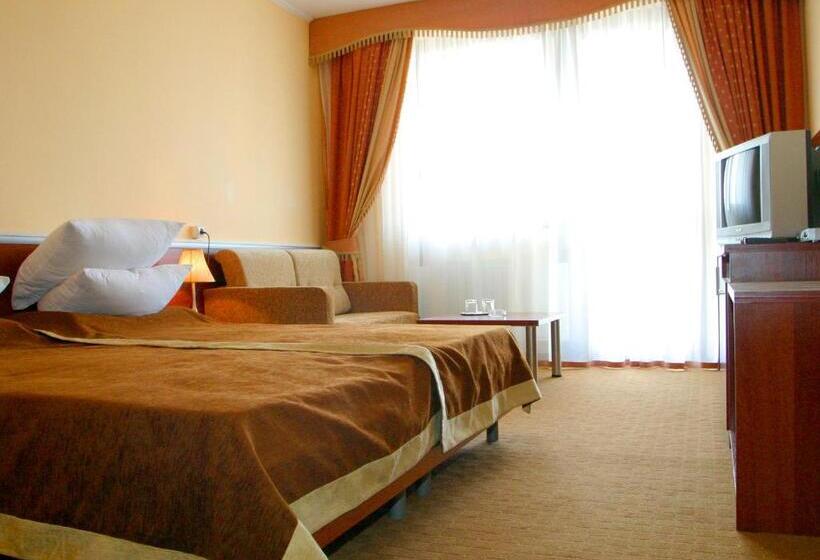 اتاق سوپریور سه تخته, Intourist Zakarpattia