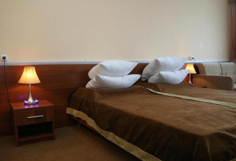 اتاق سوپریور سه تخته, Intourist Zakarpattia