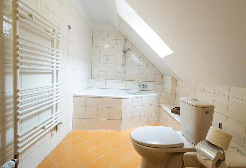 غرفة قياسية, Leonardo