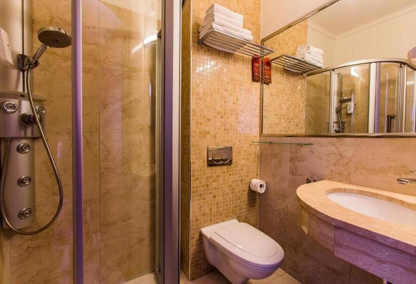 Номер Executive, & Medi Spa Biały Kamień