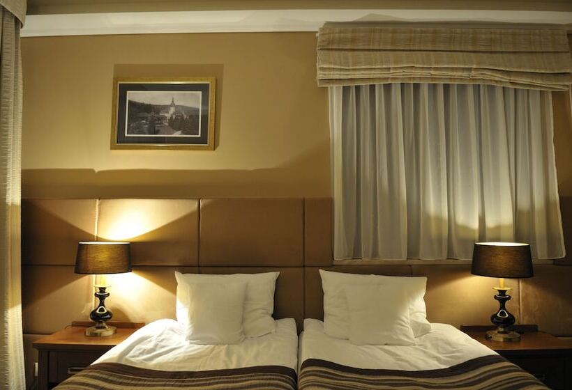 Номер Executive, & Medi Spa Biały Kamień