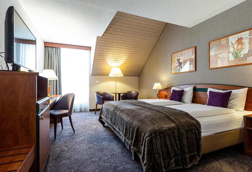 Camera Standard, Münchwilen