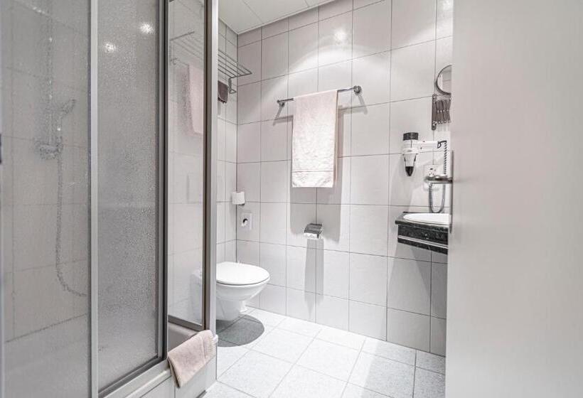 Camera Standard, Münchwilen