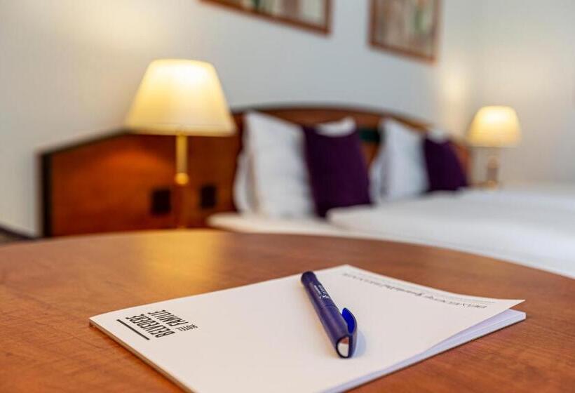 Camera Standard, Münchwilen