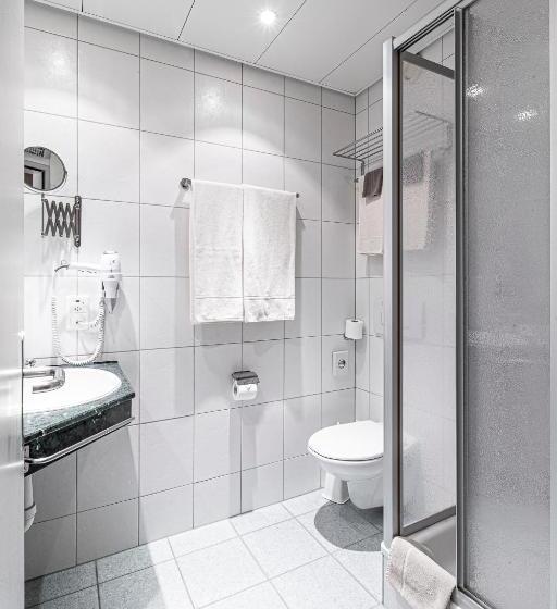 Camera Standard, Münchwilen