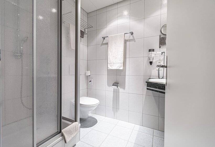 Camera Standard, Münchwilen