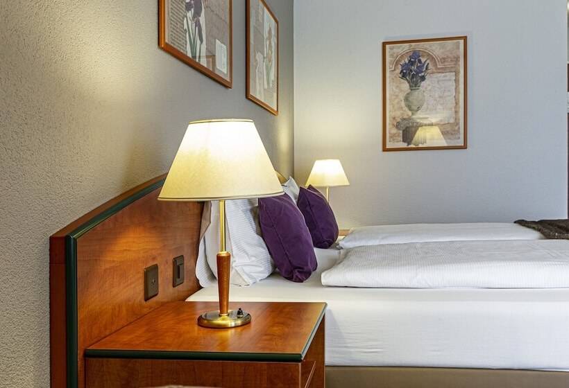 Camera Standard, Münchwilen