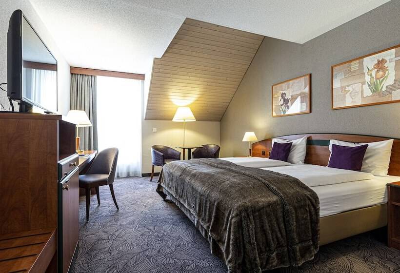 Camera Standard, Münchwilen