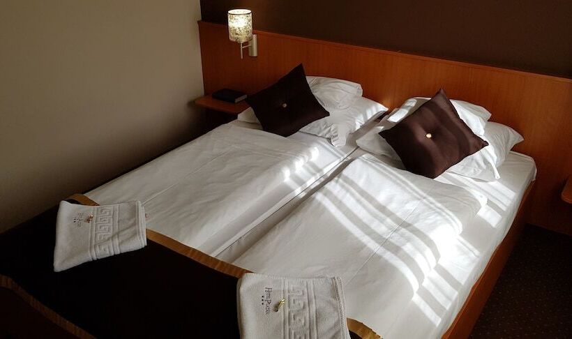 غرفة قياسية, Platan