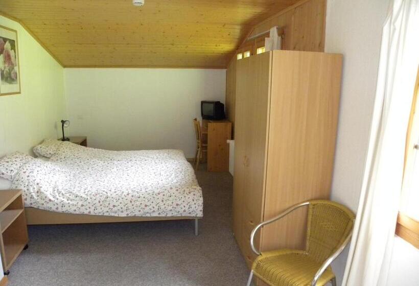 חדר סטנדרט, Restaurant Walliser Sonne